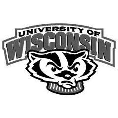 University of Wisconsin logo featuring a fierce-looking badger, representing school pride and spirit. It's associated with athletics and student identity.